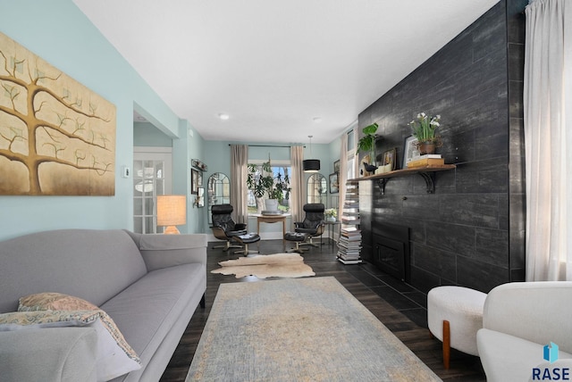 living area featuring dark wood-style floors and a large fireplace