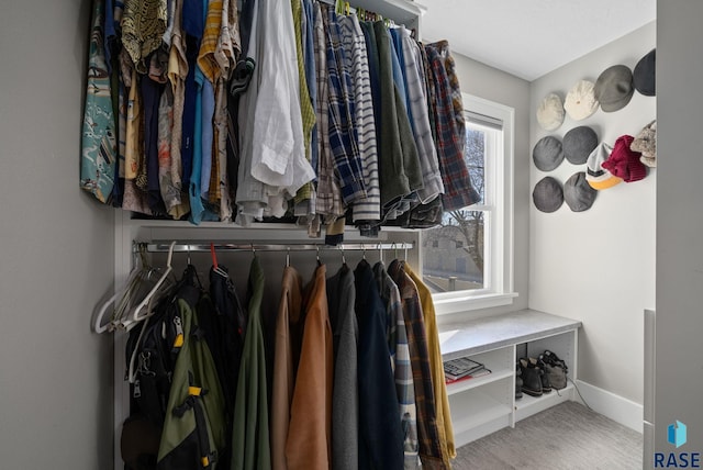 view of walk in closet