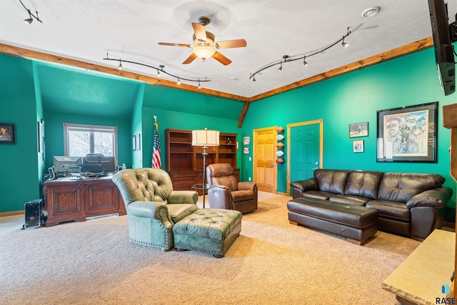 1705 N Deer Hollow Cir, Sioux Falls, SD 57110 - carpeted living room with track lighting, a ceiling fan, and lofted ceiling