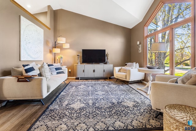 living area featuring baseboards, wood finished floors, a wealth of natural light, and high vaulted ceiling