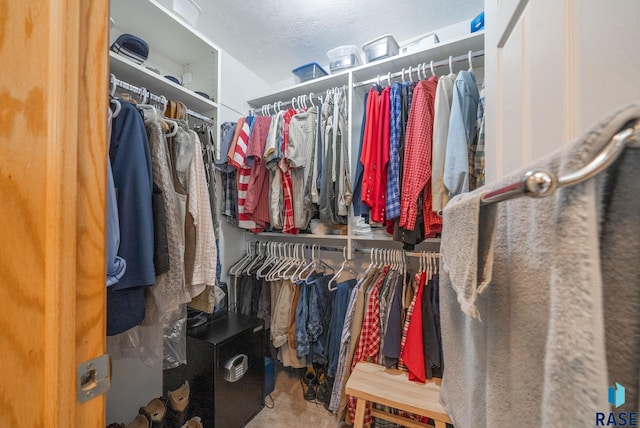view of walk in closet