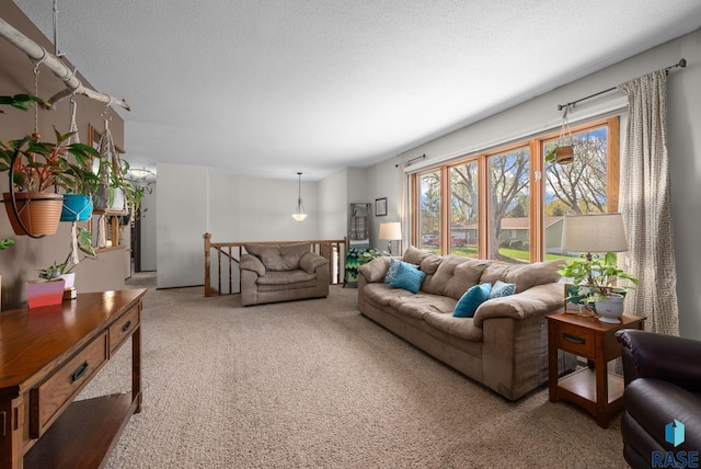 4108 E 23rd St, Sioux Falls, SD 57103 - living room featuring carpet flooring and a textured ceiling