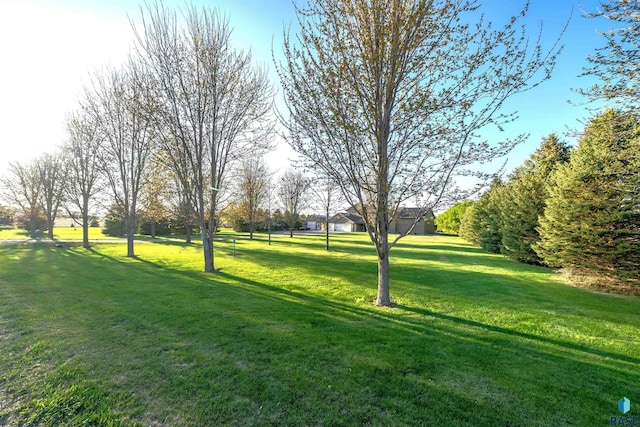 surrounding community featuring a yard