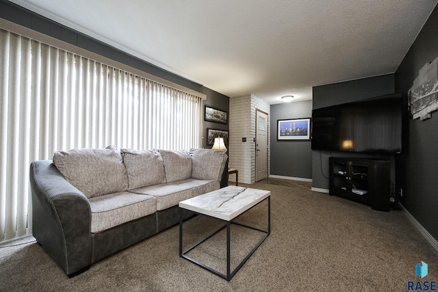 carpeted living area featuring baseboards and a textured ceiling