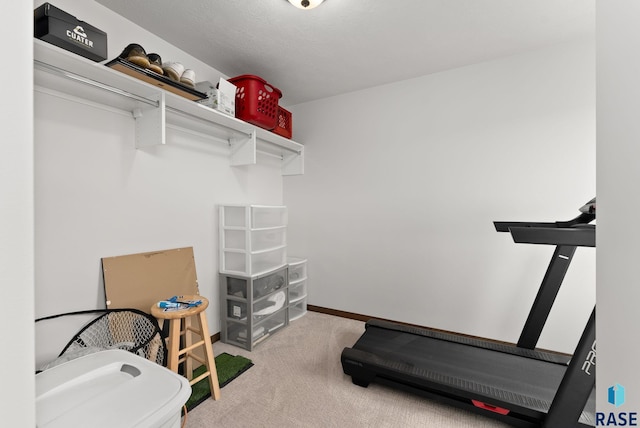 spacious closet featuring carpet