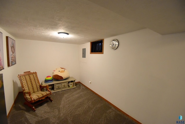 living area with carpet floors, baseboards, electric panel, and a textured ceiling