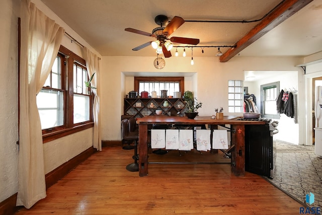 interior space featuring light wood-style floors, a ceiling fan, and plenty of natural light
