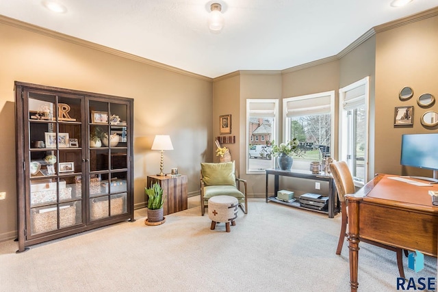carpeted office featuring crown molding and baseboards