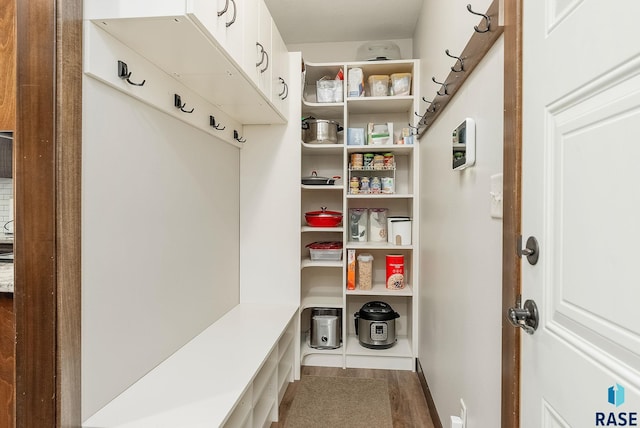 mudroom with dark wood-type flooring and baseboards