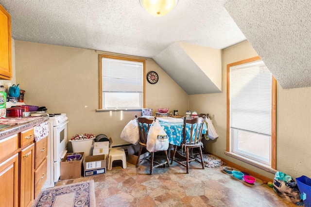 interior space featuring vaulted ceiling, a textured ceiling, stone finish floor, and plenty of natural light