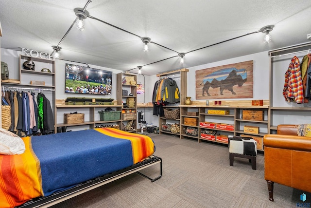 5604 S Jersey Tess Dr, Sioux Falls, SD 57108 - carpeted bedroom with a textured ceiling