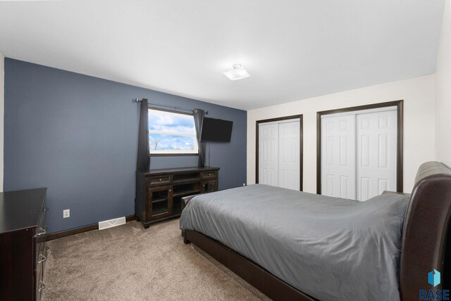 46902 284th St, Lennox, SD 57039 - bedroom with light carpet, baseboards, visible vents, and multiple closets