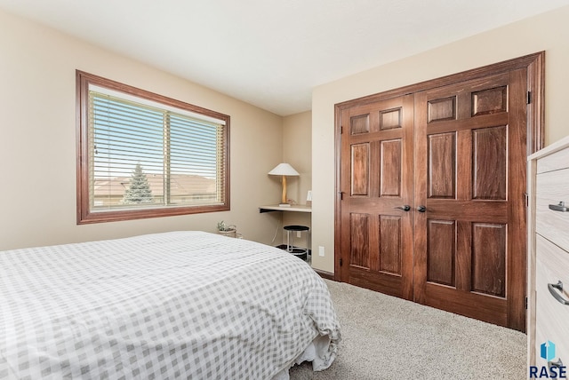 bedroom featuring carpet