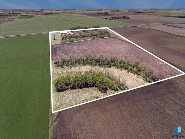 bird's eye view featuring a rural view