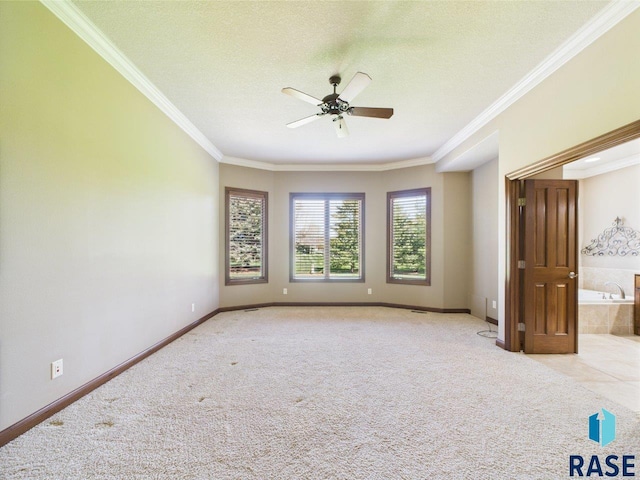 6204 S Doral Trl, Sioux Falls, SD 57108 - unfurnished room featuring ornamental molding, ceiling fan, carpet floors, baseboards, and a textured ceiling