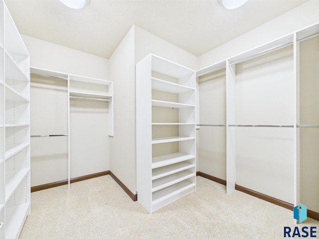 6204 S Doral Trl, Sioux Falls, SD 57108 - walk in closet featuring carpet