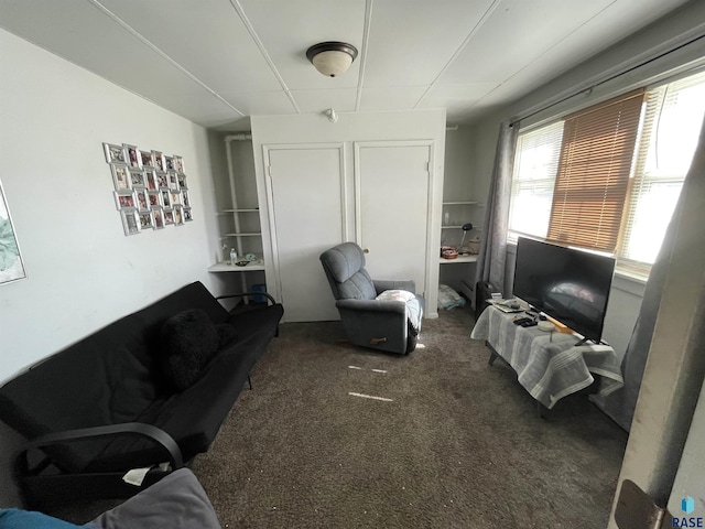 207 W 14th St, Sioux Falls, SD 57104 - view of carpeted living area