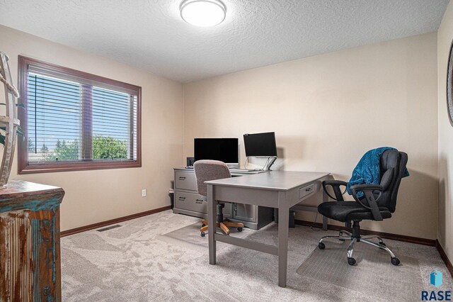 6601 Lenola Hts, Wentworth, SD 57075 - carpeted office space featuring baseboards, visible vents, and a textured ceiling