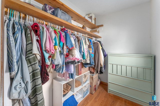 20395 Northgrove Loop, Brookings, SD 57006 - spacious closet featuring wood finished floors
