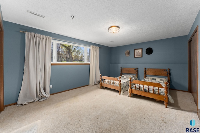 20395 Northgrove Loop, Brookings, SD 57006 - bedroom with a textured ceiling, baseboards, visible vents, and carpet