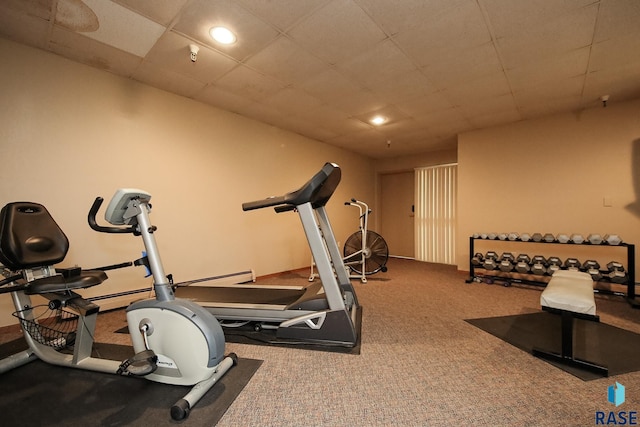 workout area featuring carpet