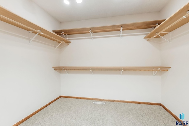 110 W Apple St, Tea, SD 57064 - spacious closet featuring carpet