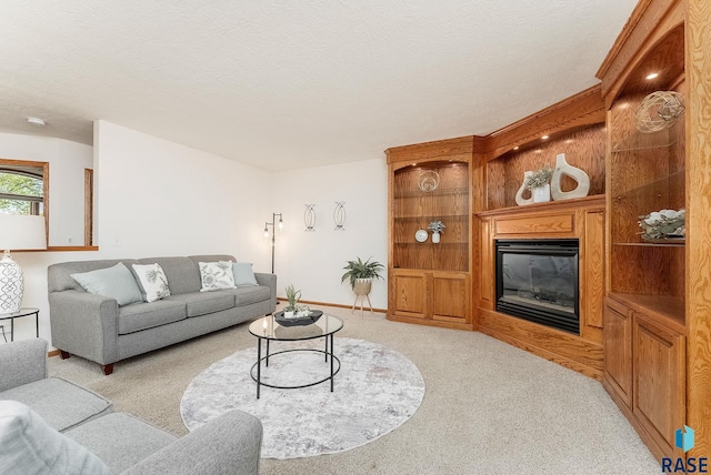 110 W Apple St, Tea, SD 57064 - living area with light carpet, a glass covered fireplace, baseboards, and a textured ceiling