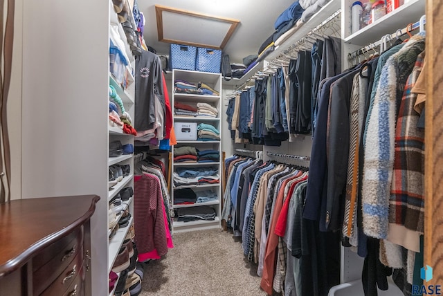 904 W Chicory Ln, Sioux Falls, SD 57108 - spacious closet with attic access and carpet floors