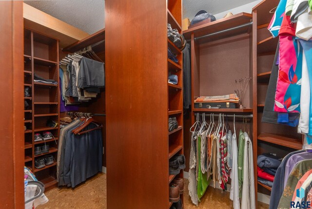 904 W Chicory Ln, Sioux Falls, SD 57108 - view of walk in closet