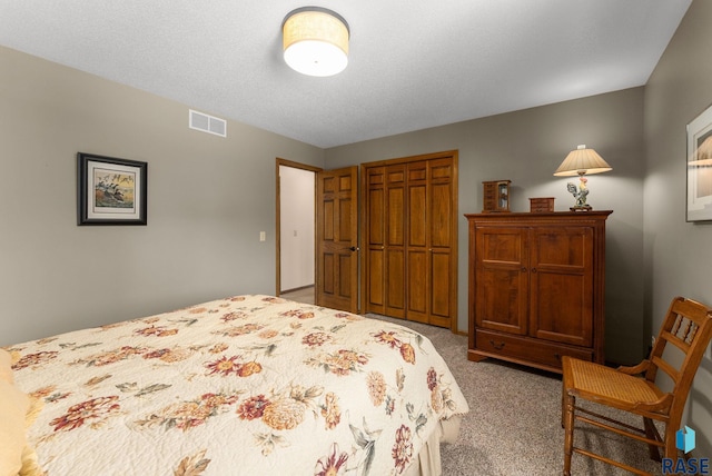 904 W Chicory Ln, Sioux Falls, SD 57108 - bedroom featuring carpet floors and a closet