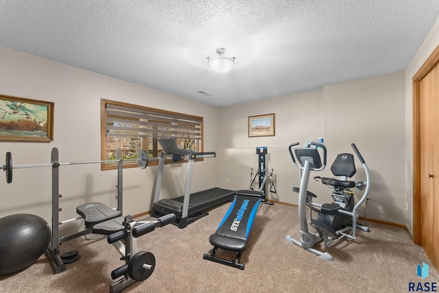 904 W Chicory Ln, Sioux Falls, SD 57108 - exercise room featuring baseboards, a textured ceiling, and carpet floors