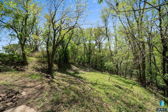 view of wooded area
