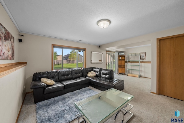 7708 W Eli Ct, Sioux Falls, SD 57106 - living room with carpet and a textured ceiling