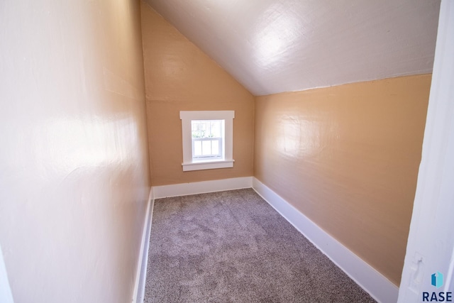 additional living space featuring vaulted ceiling and carpet flooring