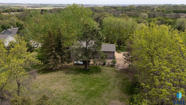 drone / aerial view of a forest