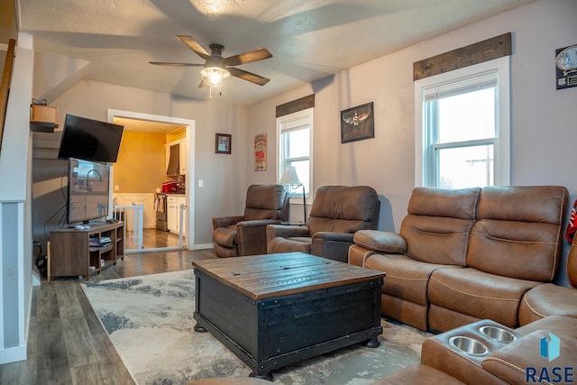 333 S Depot Ave, Garretson, SD 57030 - living room featuring a ceiling fan and wood finished floors