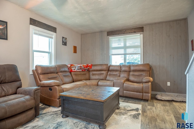 333 S Depot Ave, Garretson, SD 57030 - living area featuring wood finished floors, wood walls, healthy amount of natural light, and baseboards