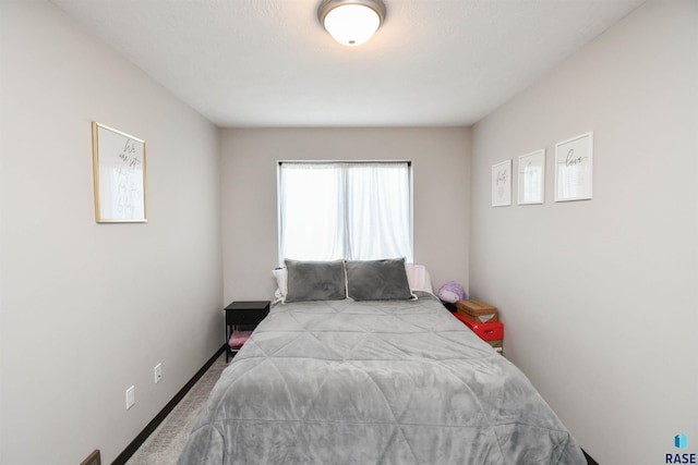 9425 W Liam St, Sioux Falls, SD 57106 - view of carpeted bedroom