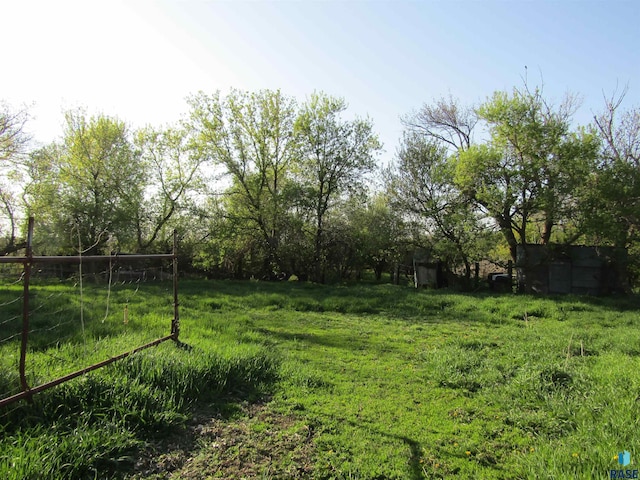view of yard