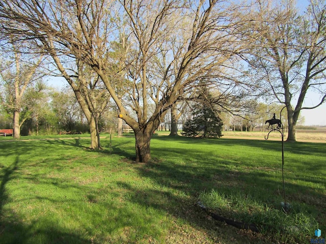 view of green lawn
