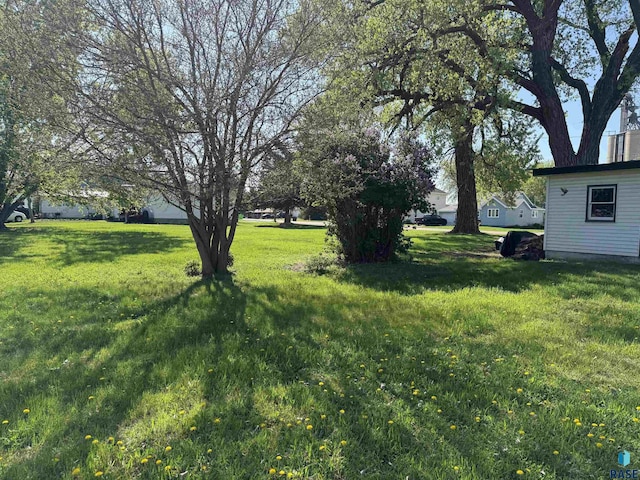 view of grassy yard