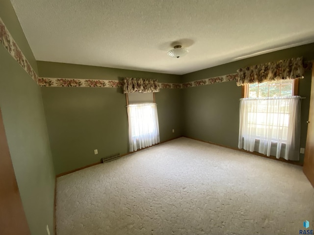 1208 Hampshire Cir, Luverne, MN 56156 - spare room with plenty of natural light, carpet, and a textured ceiling
