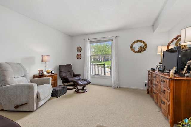 sitting room with light colored carpet and baseboards