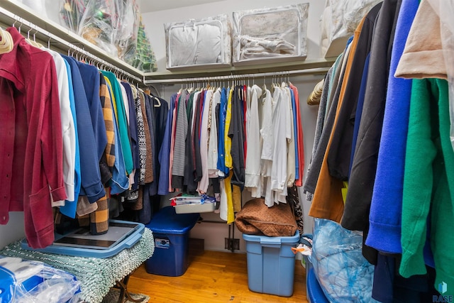 walk in closet featuring wood finished floors