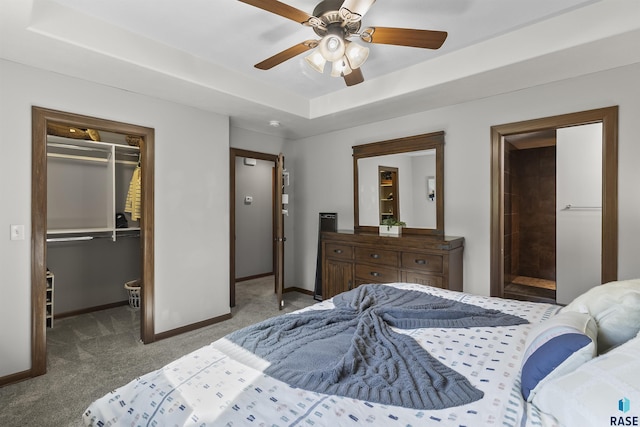 bedroom featuring carpet, a spacious closet, baseboards, a tray ceiling, and a closet