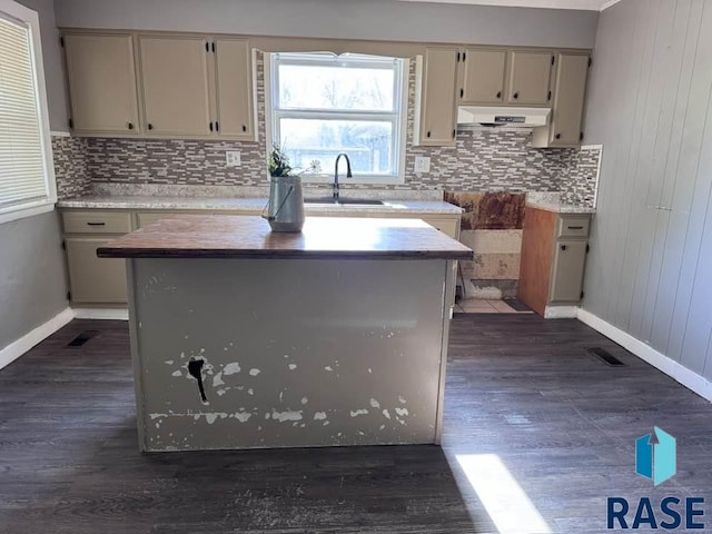 kitchen featuring a sink, under cabinet range hood, dark wood finished floors, tasteful backsplash, and baseboards