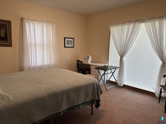 view of carpeted bedroom