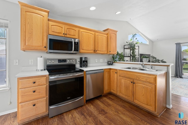 kitchen with appliances with stainless steel finishes, a sink, vaulted ceiling, dark wood-type flooring, and a peninsula