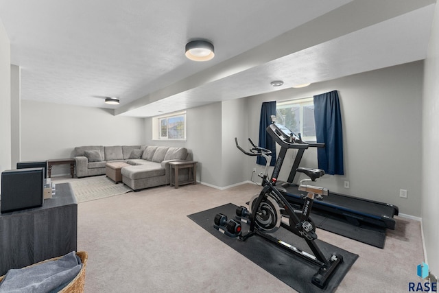 exercise area featuring plenty of natural light, carpet, and baseboards