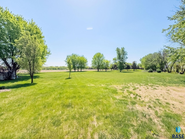 view of grassy yard